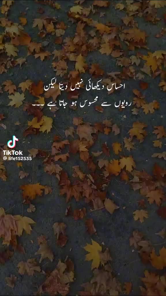 @mehwish