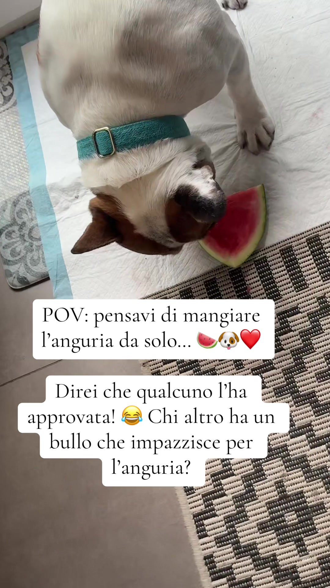 @Fabiola Parisi