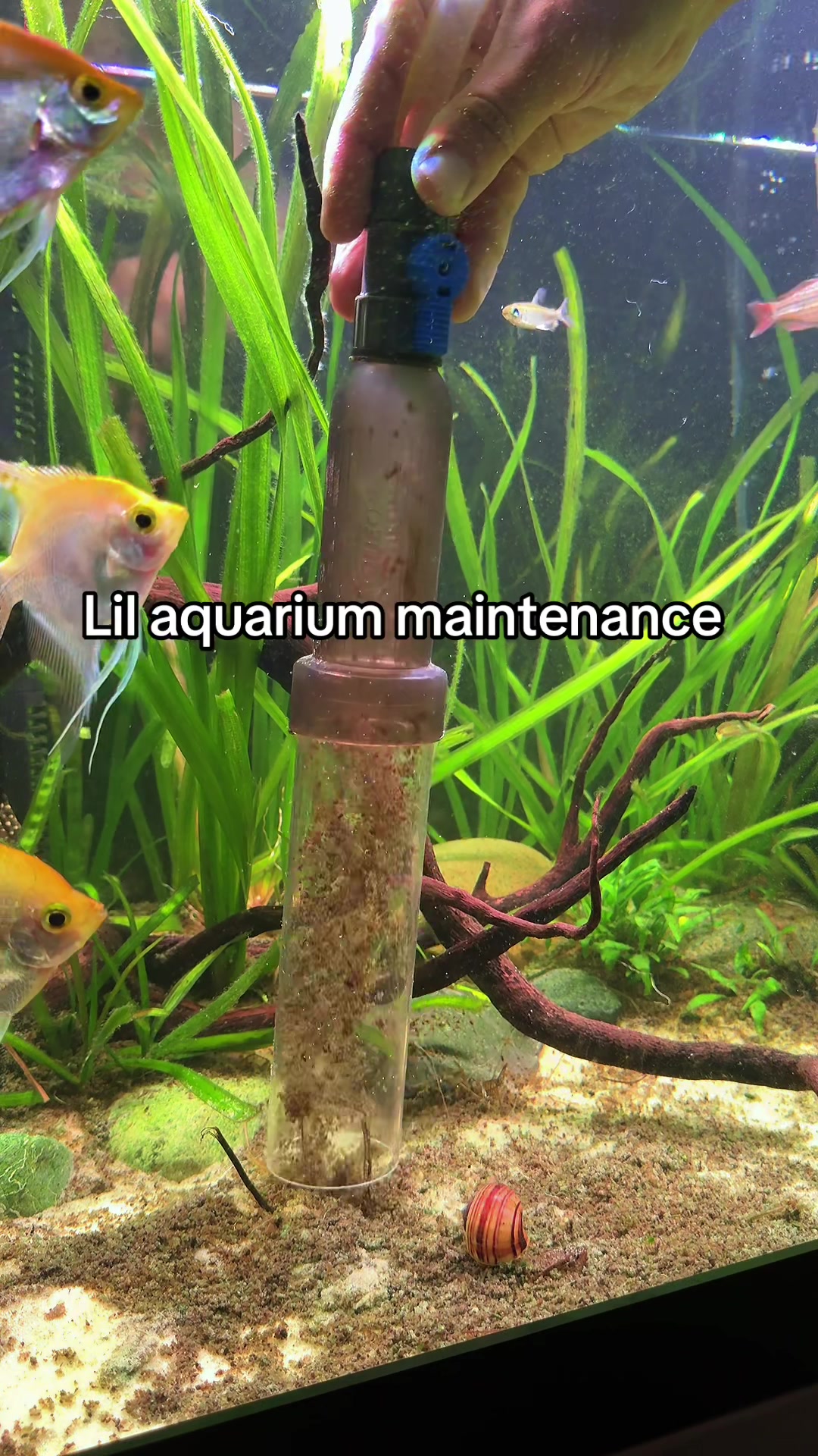 @Fishmon john