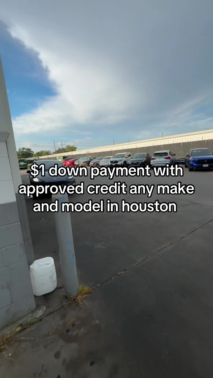 @Mckinleythecarplug