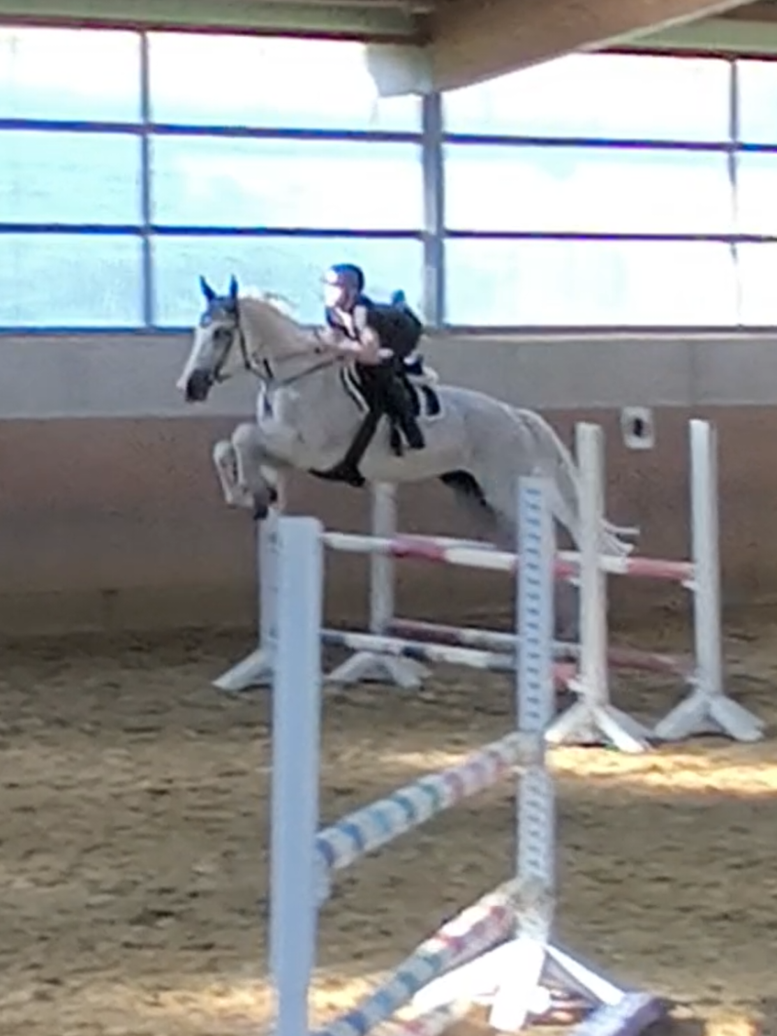 @Spring"Pony"Casha