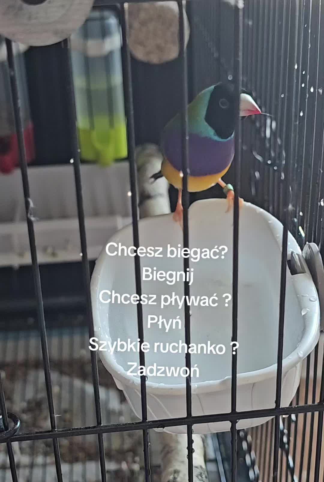 @36_CRIS23