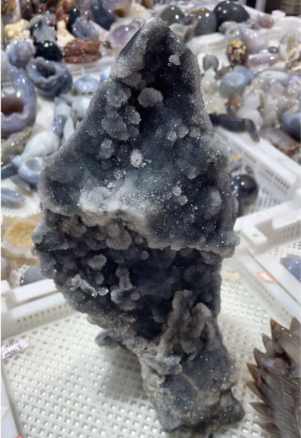 @IG Crystal Paradise