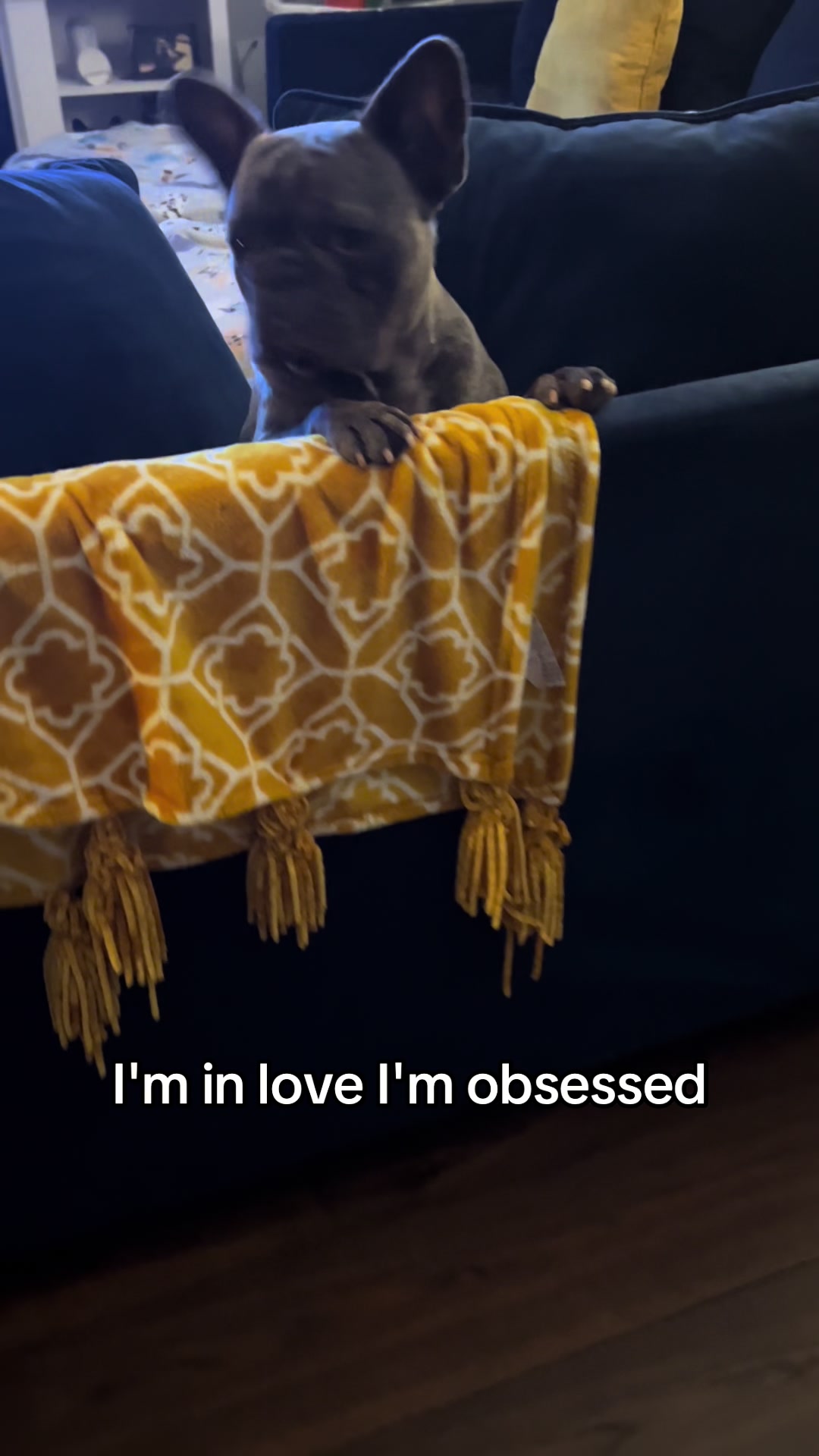 @Benny and Alfie