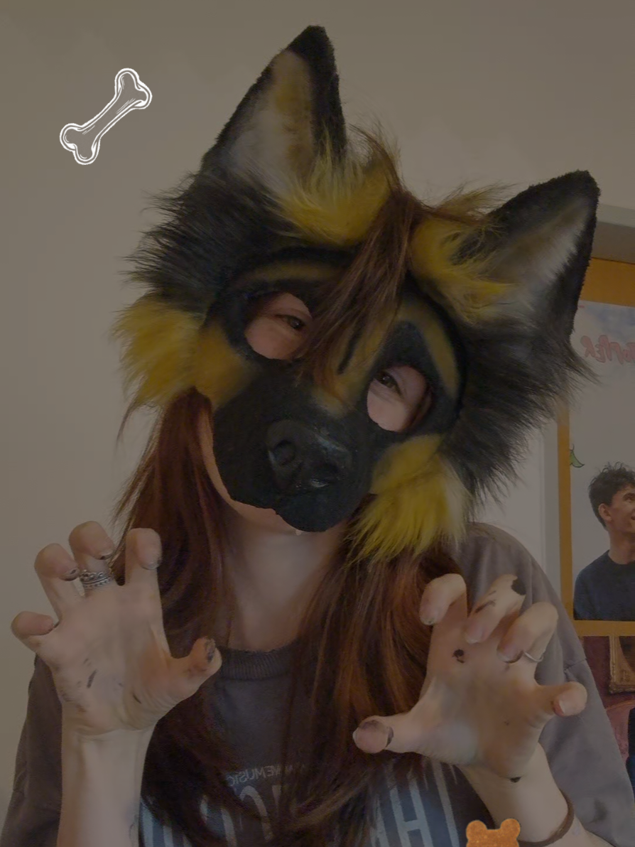 @☆sillydog☆