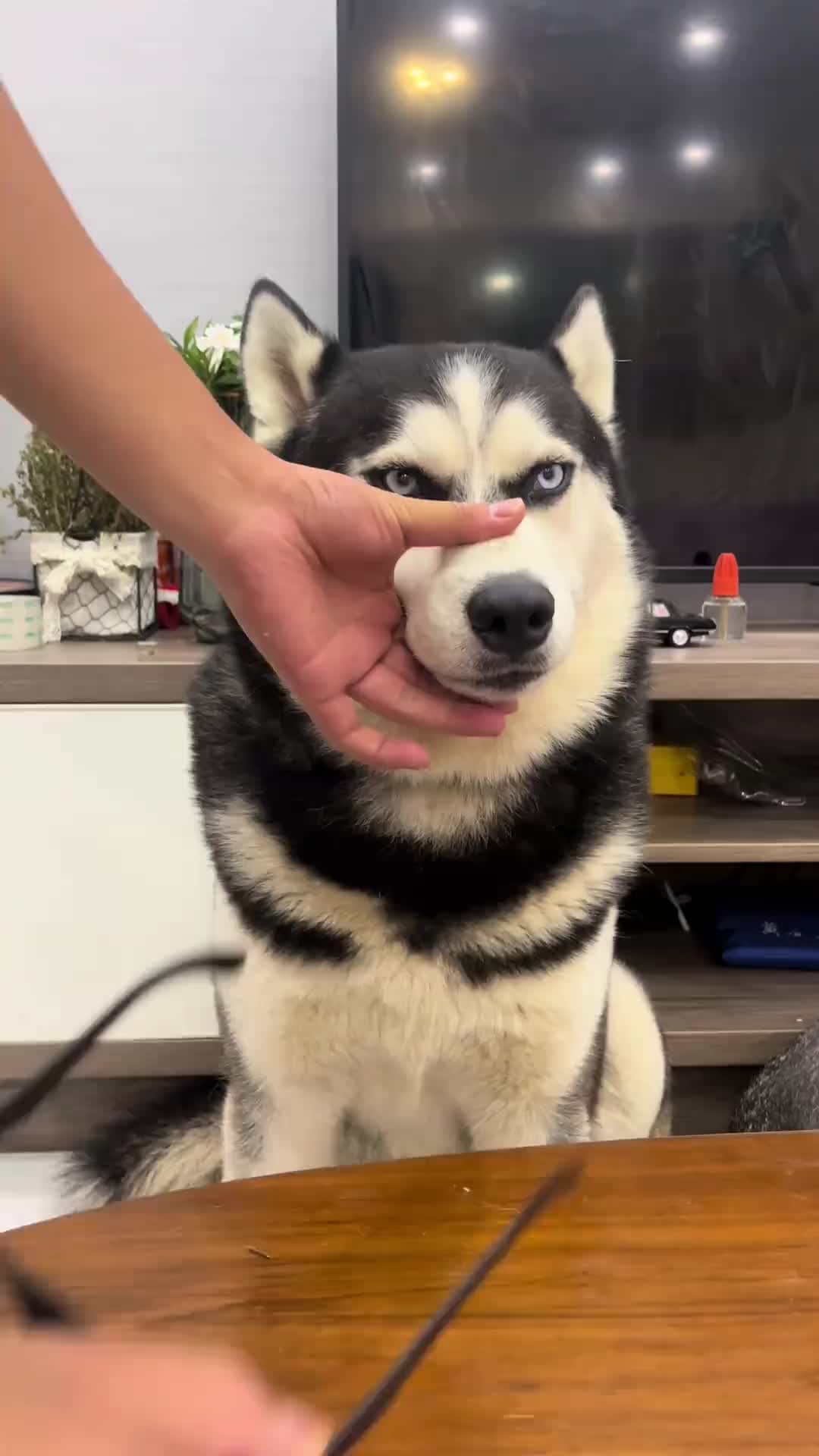 @Maxxxxxxx