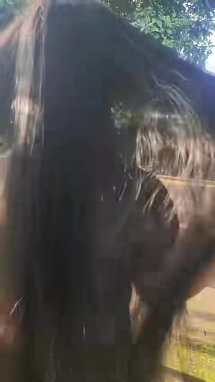 @Video Rambut Panjang