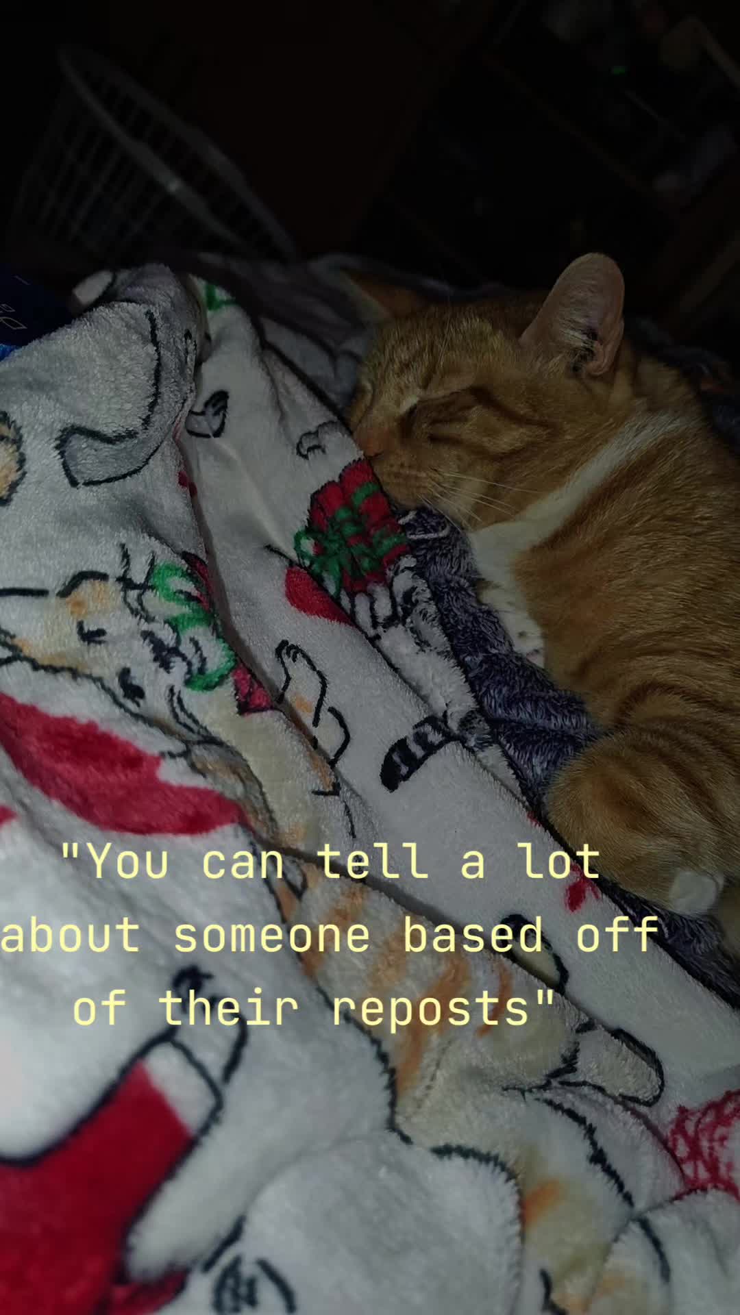 @Ashley Marie