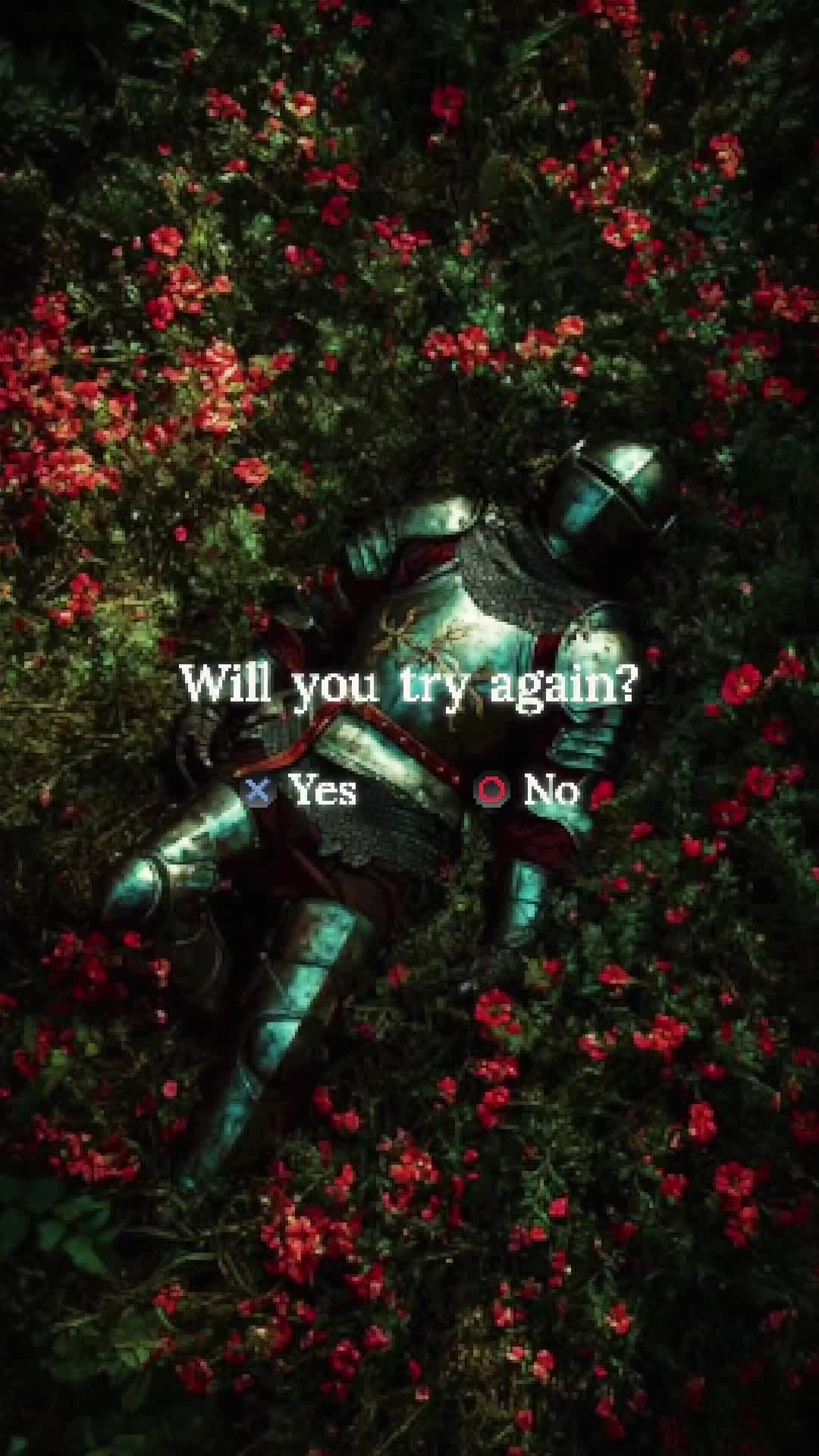 @entris