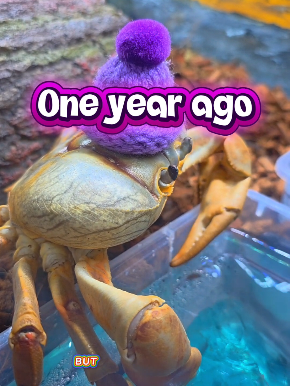 @Howie The Crab