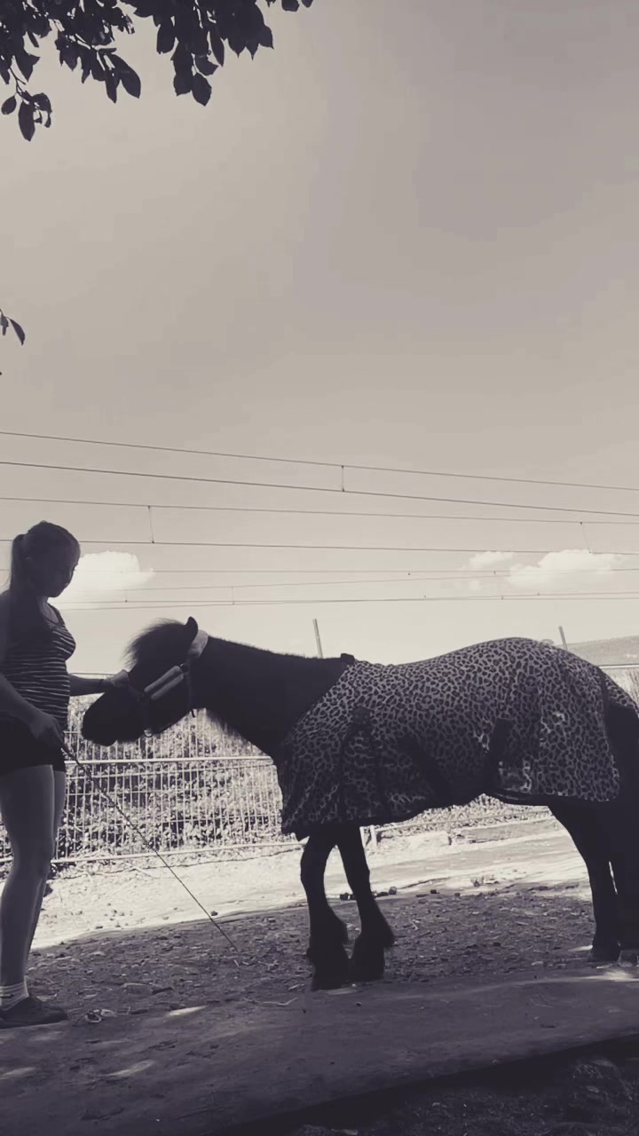 @𝑨𝒎𝒆𝒍𝒊𝒆🤍