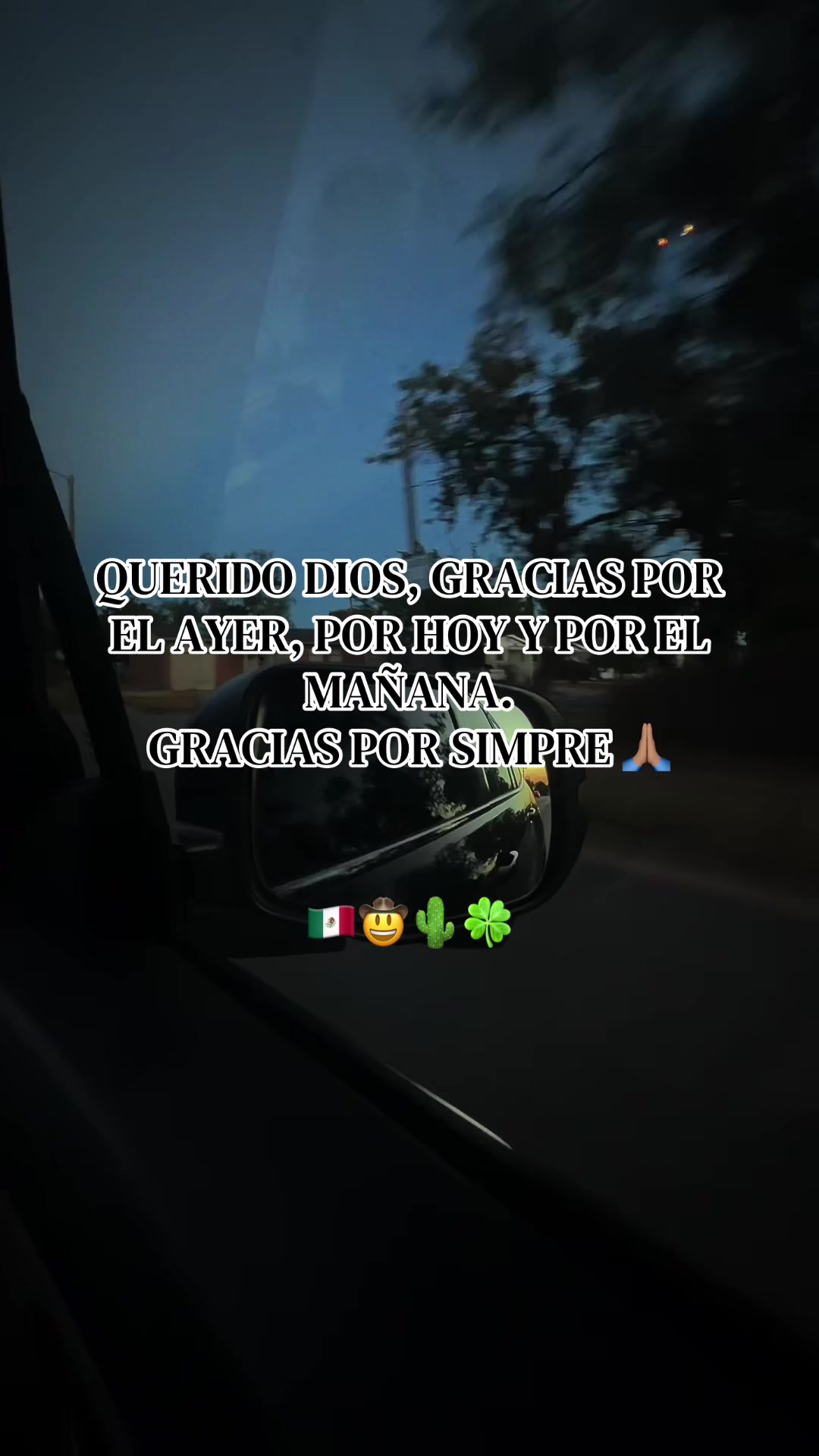 @🤠🤎 Mexicanito 💪🏽🇲🇽