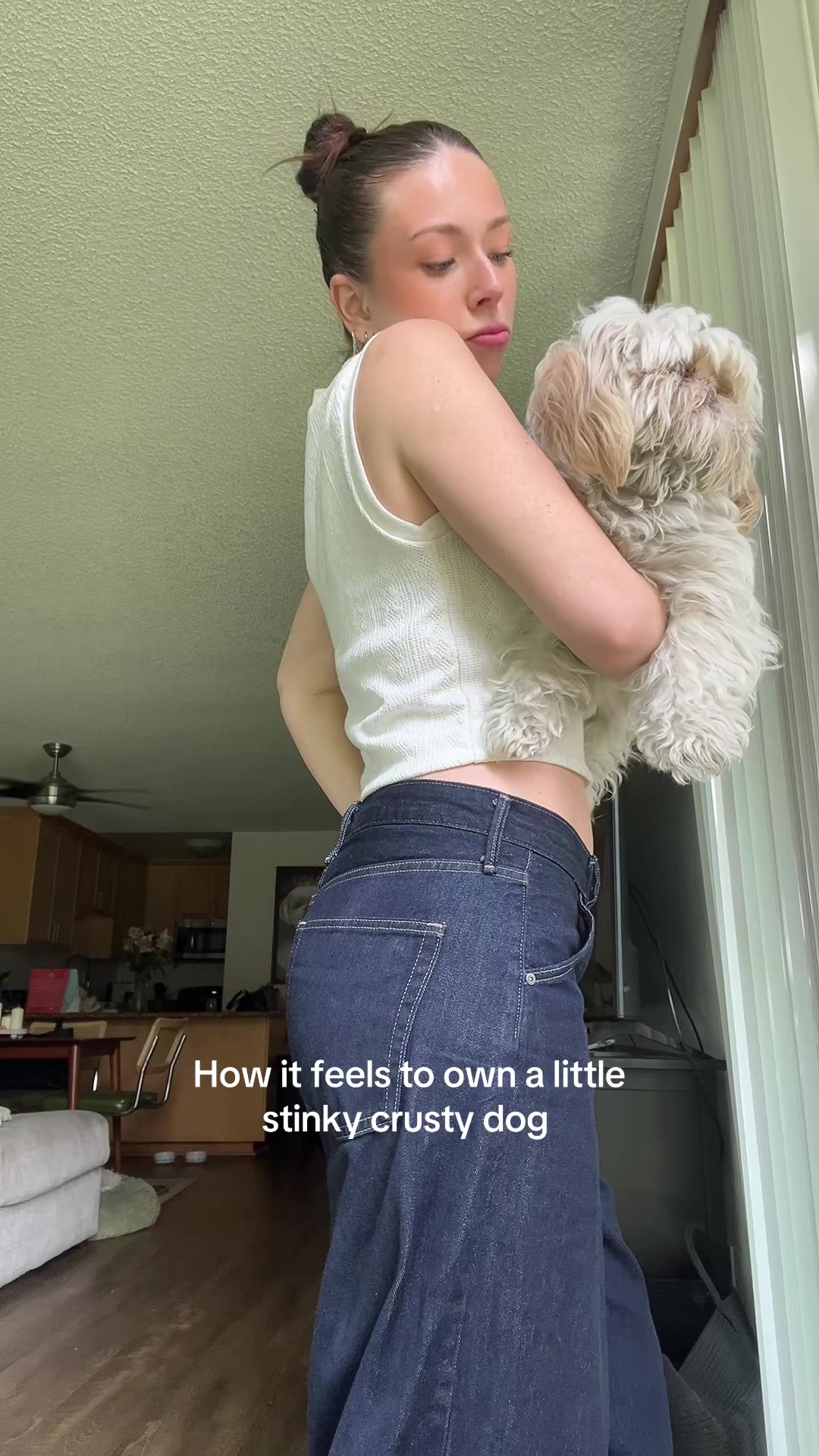 @Hugh the Shih Tzu