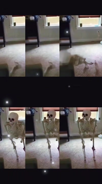 @GIF LOVER❤️