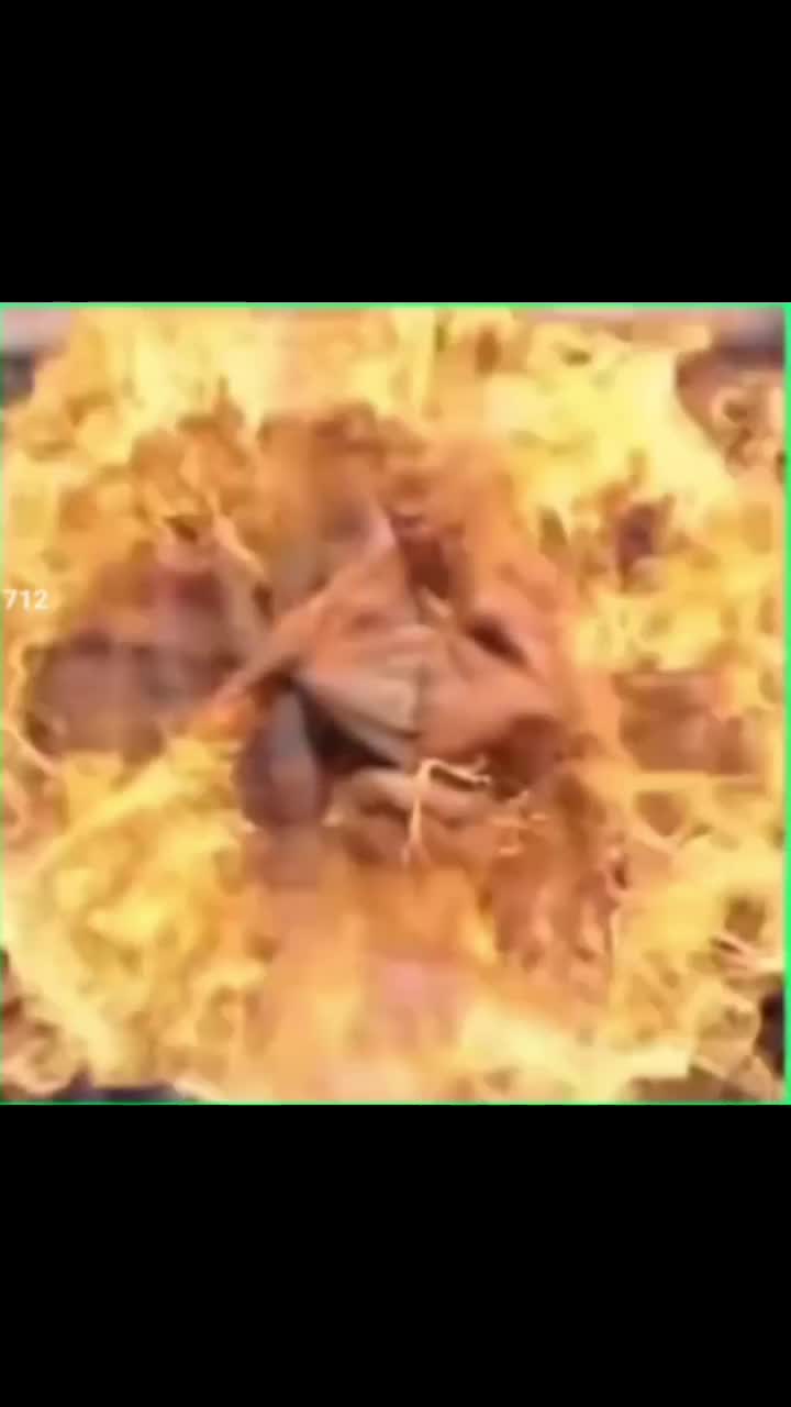 @mr.editzilla