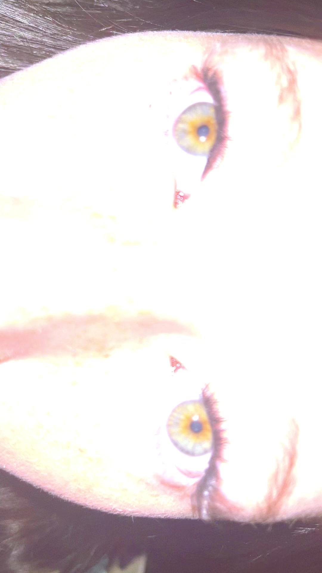 @𝓣𝓸𝓻𝓲🦩