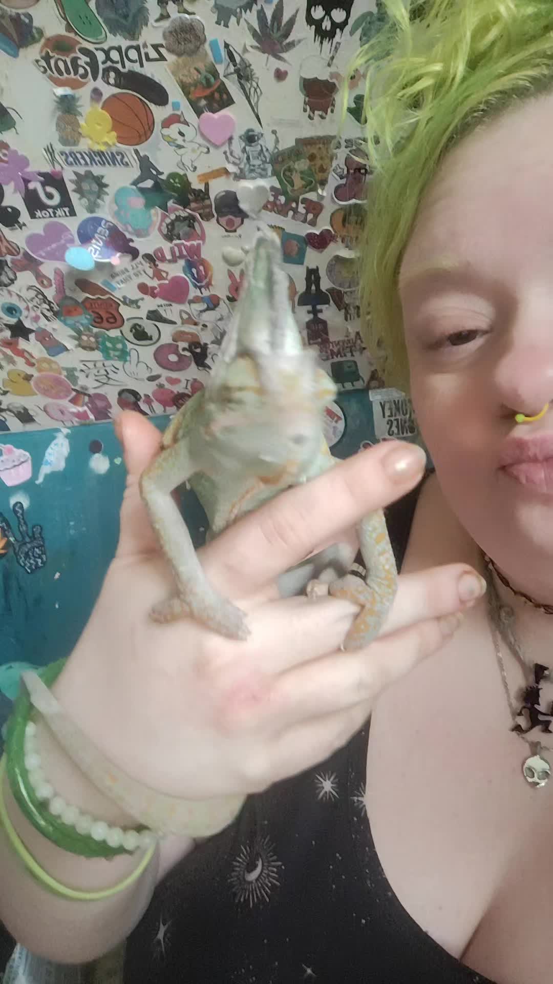 @👽 ALIEN_MIDGIT 👽