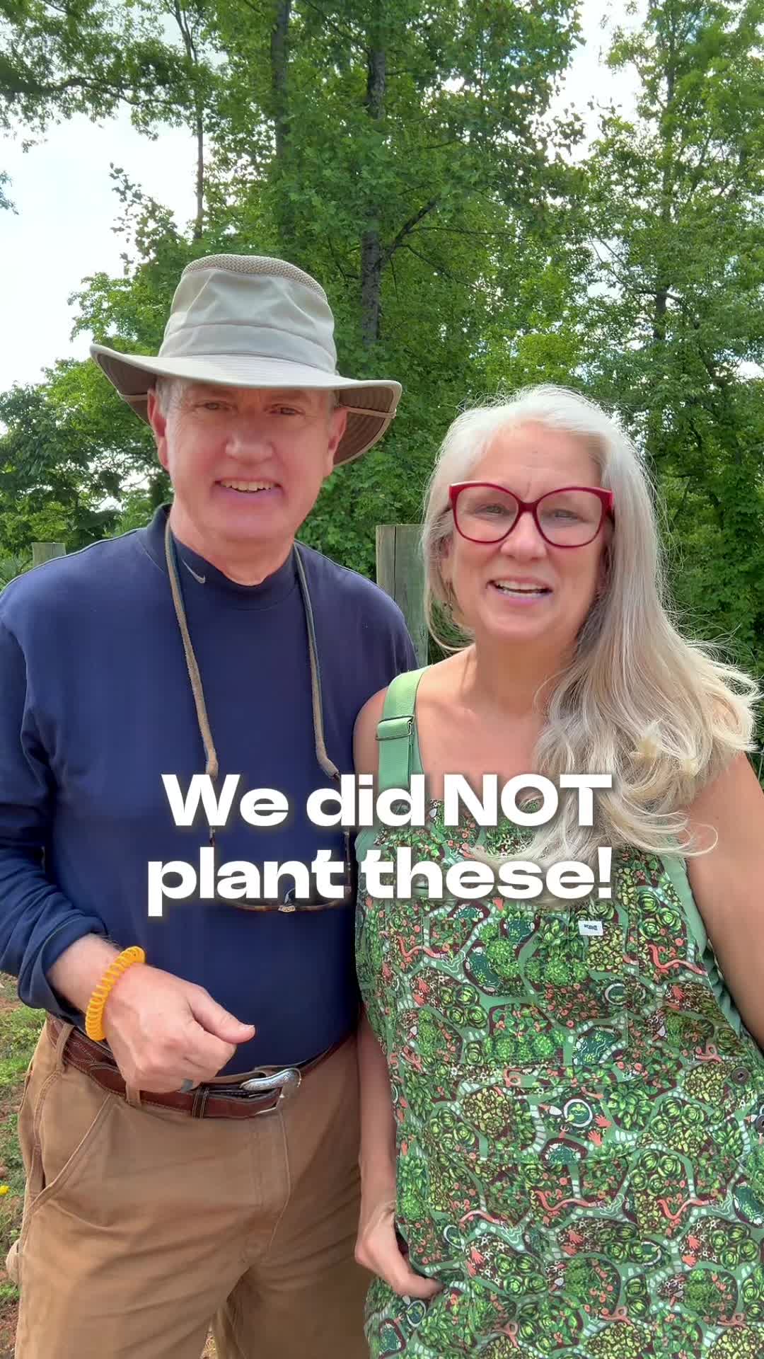 @Sweet BombDiggity Farms
