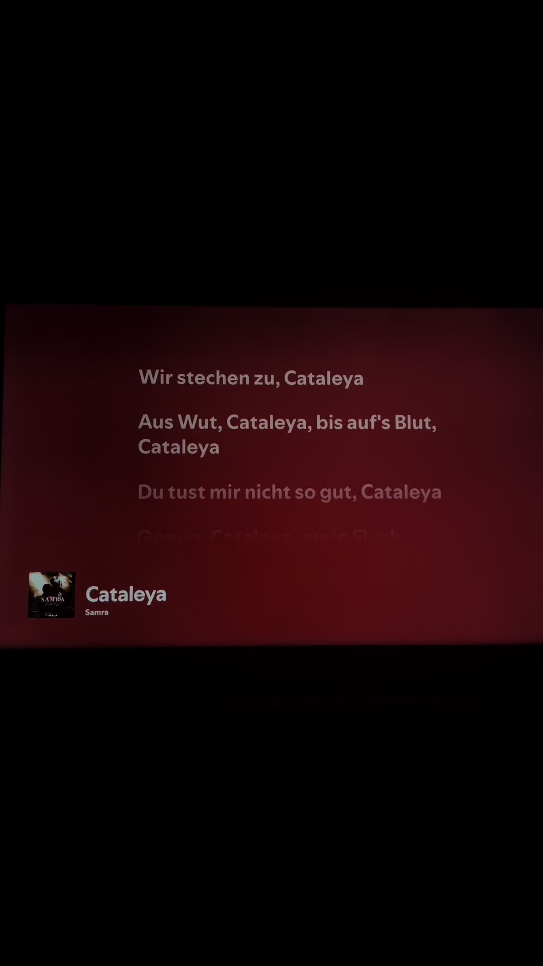 @🎶🎶