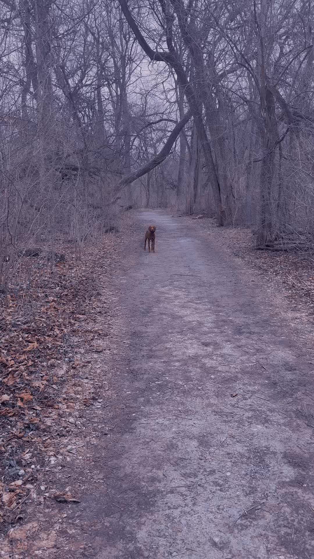 @Wiggle butt