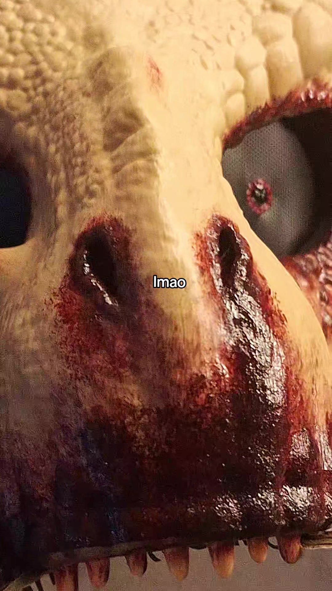 @ð€Shinuð€