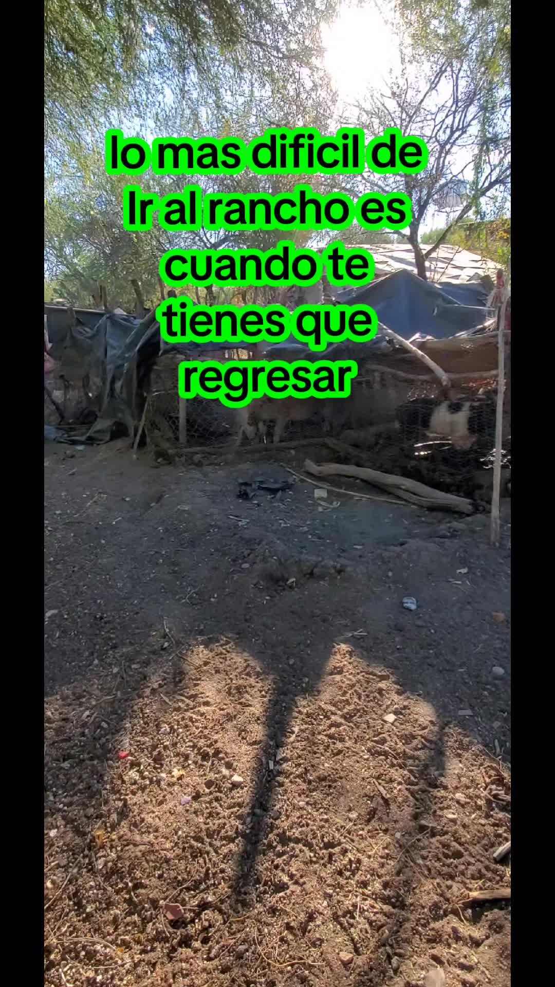 @gueritaSD
