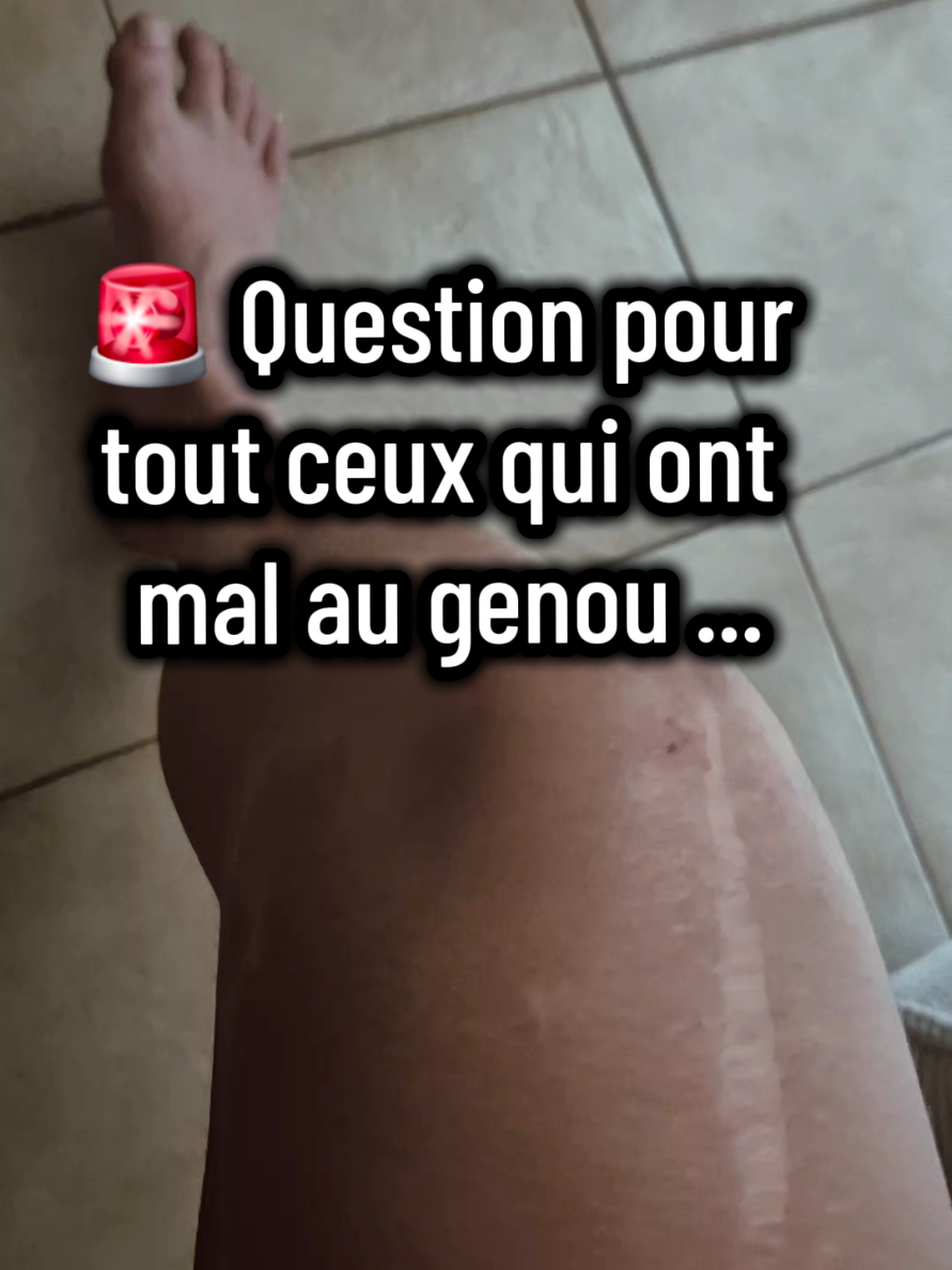 @Jennifer Carrara