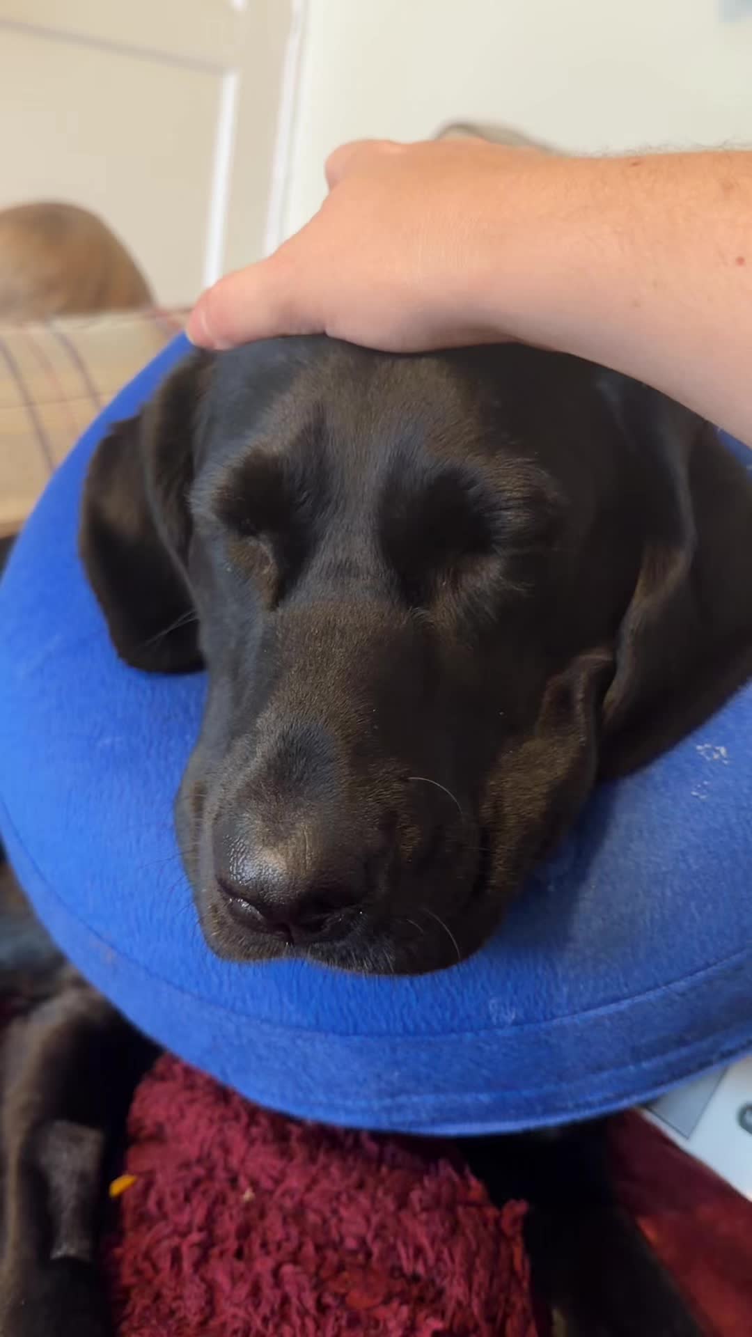 @Penny 🧡 Luna
