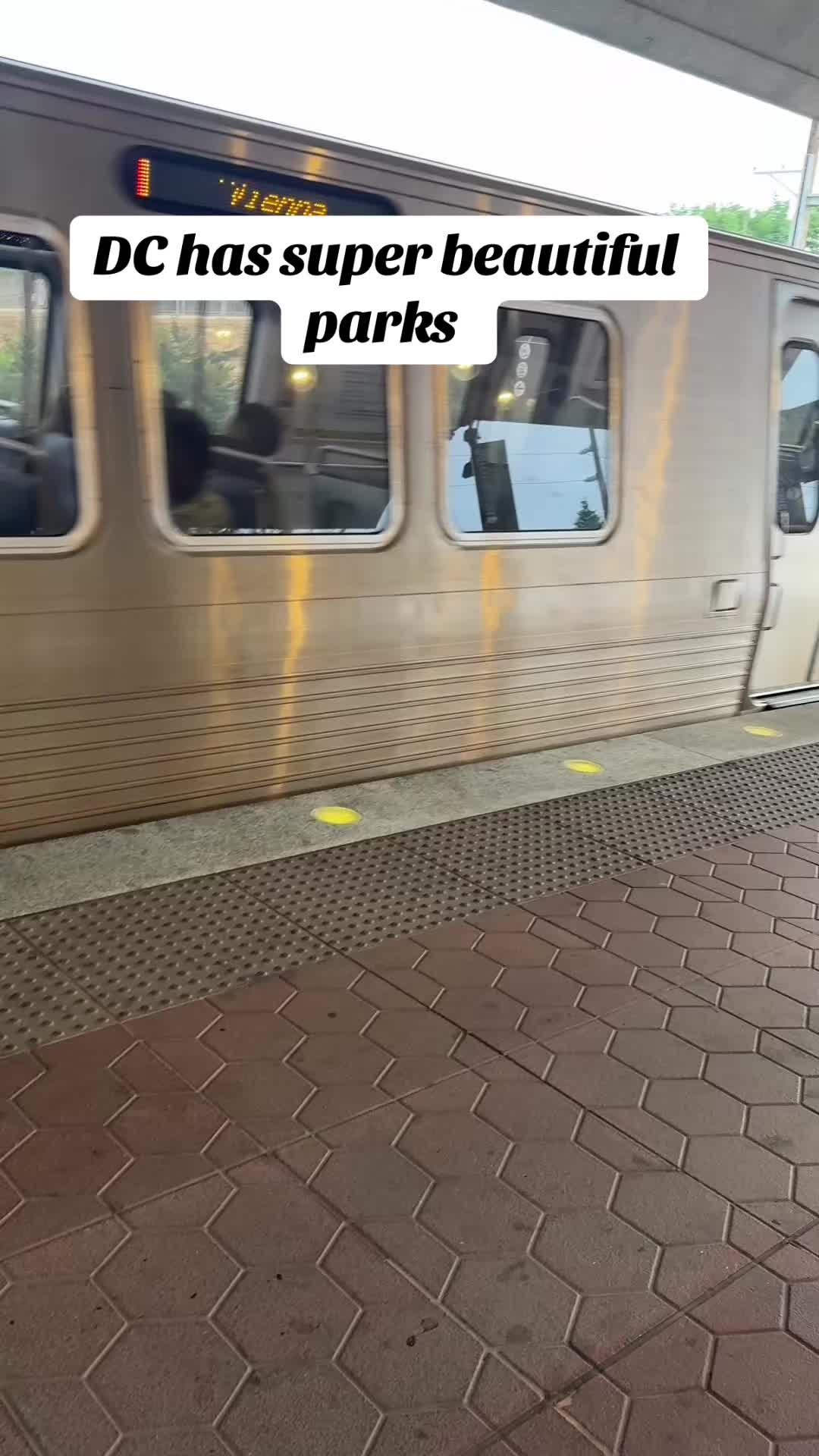 @Tash | DC
