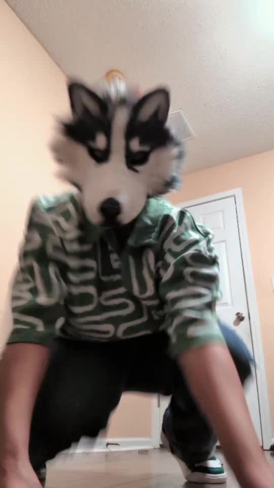 @𓃩[✦ HUSKY ✦ ]𓋹