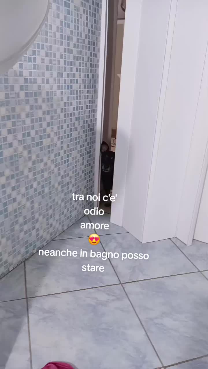 @🎀
