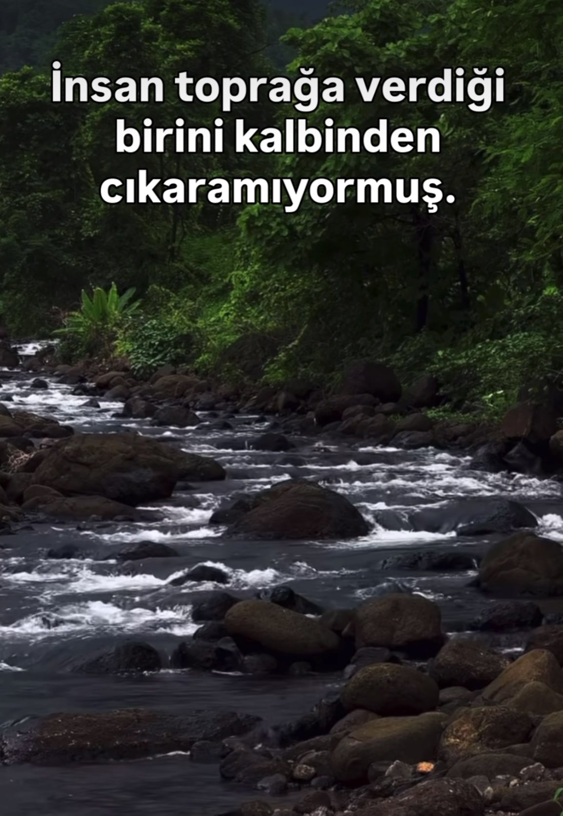 @İslam sayfası 🌸