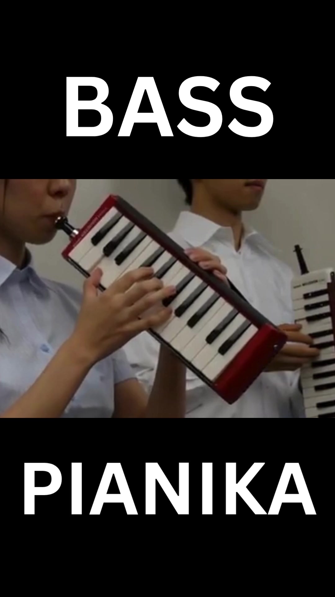 @Official Royale Instrument