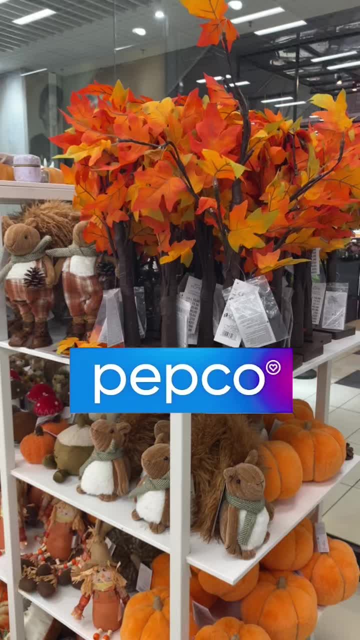 @Budget Shopping Finds