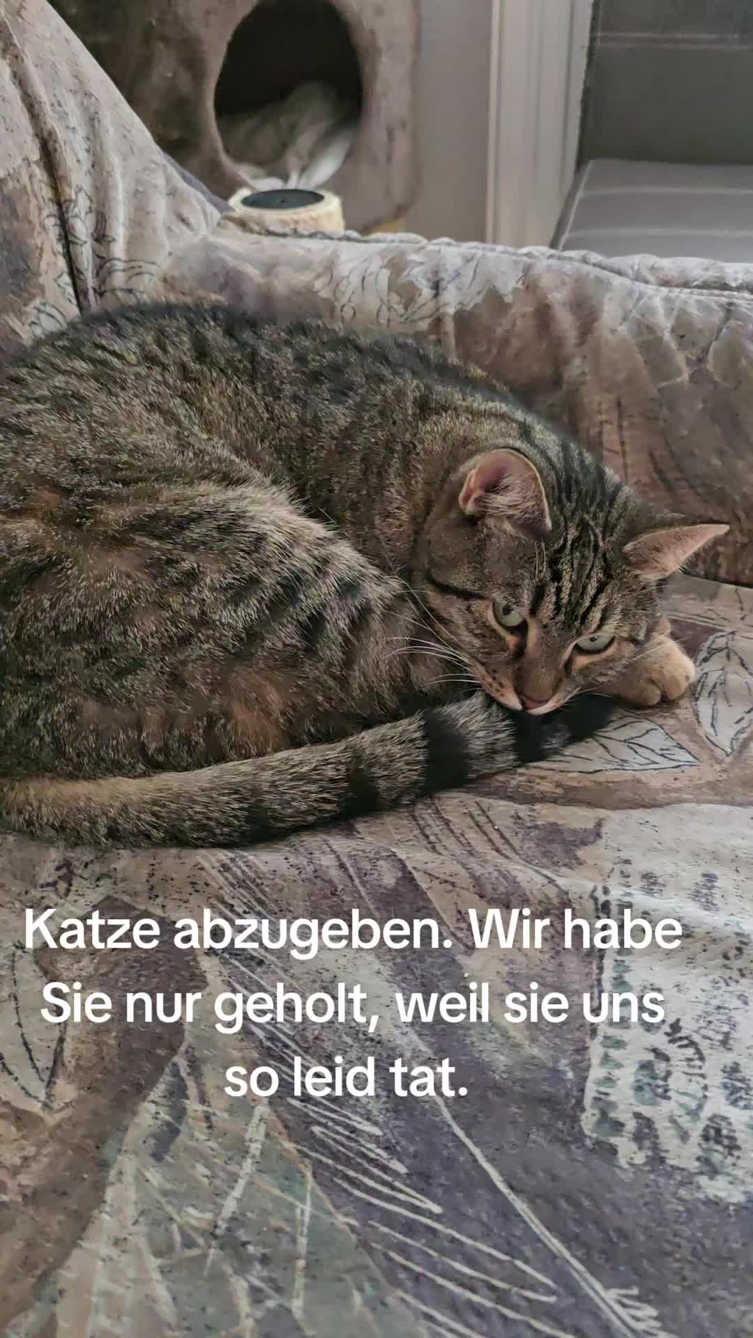 @Luna und Lisa