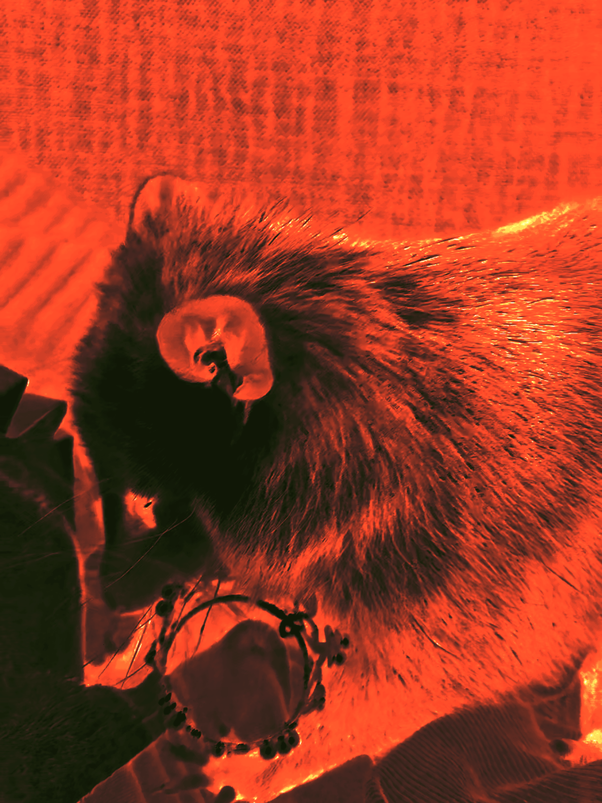 @OPOSSUMDAWGMOM