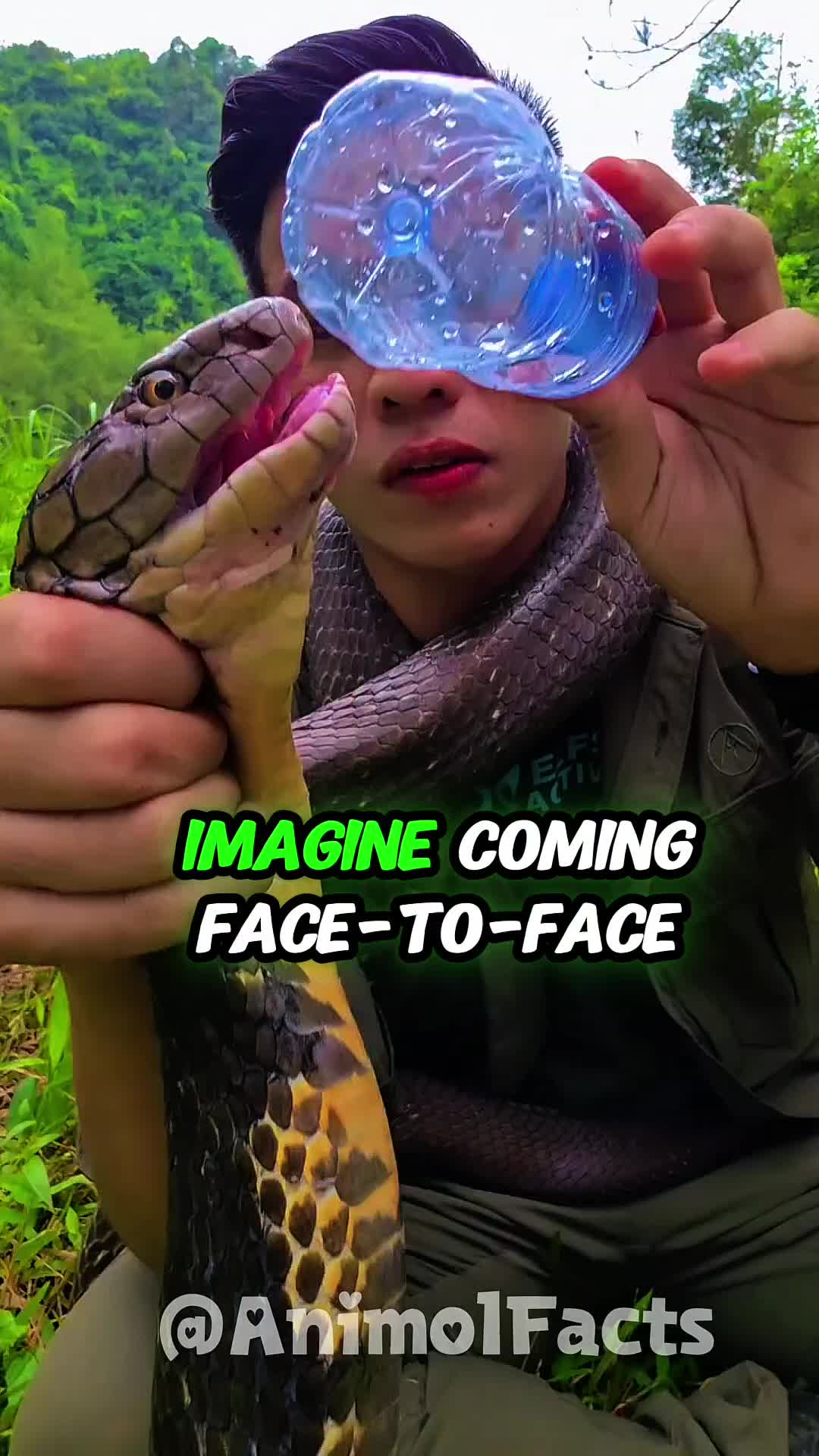 @animolfacts