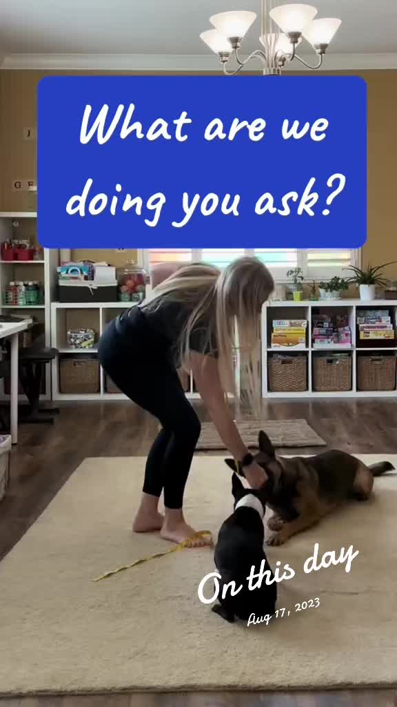 @Amber