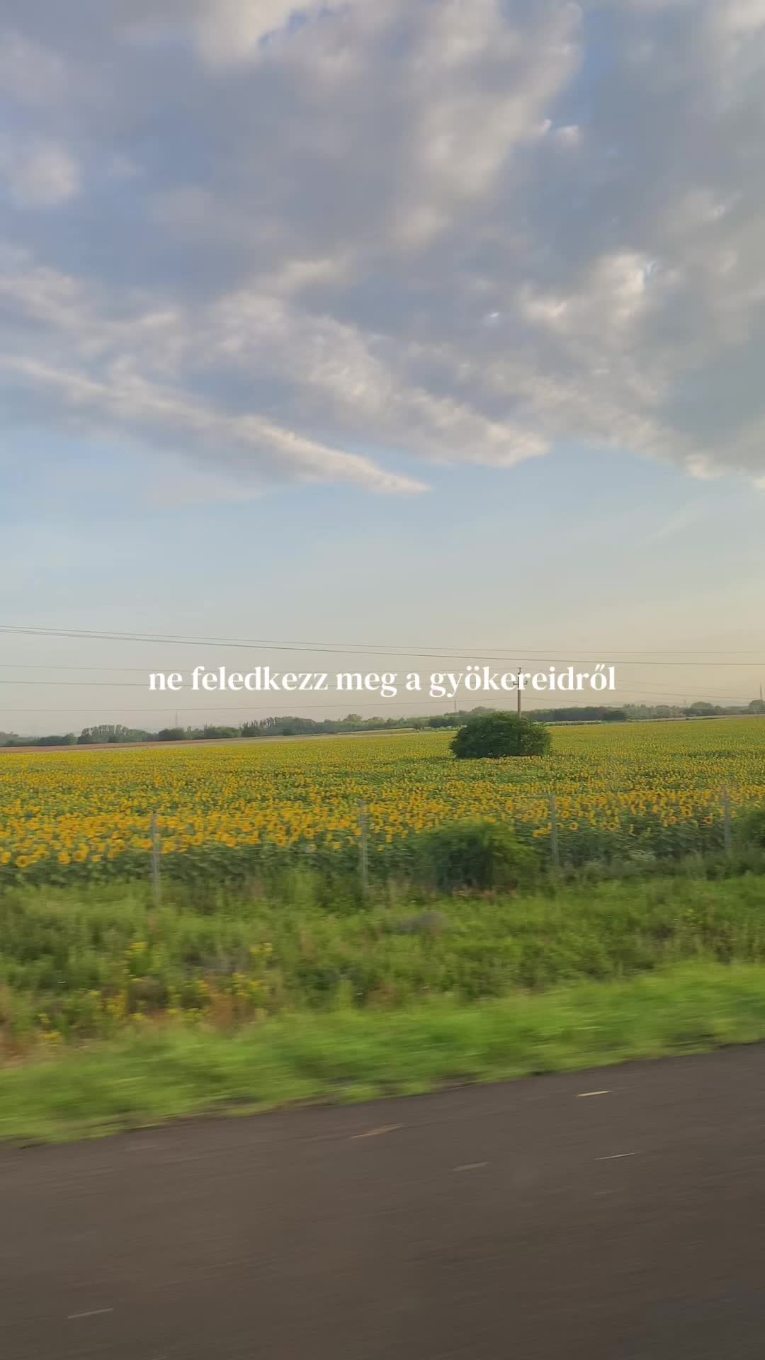 @𝒕𝒂𝒚𝒍𝒐𝒓 𐫱 𝒐𝒍𝒊𝒗𝒊𝒂