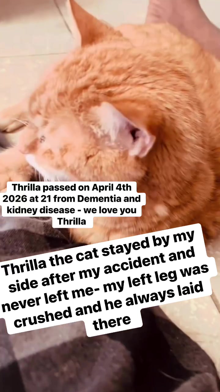 @ACatnameThrilla&aGuynamedRa