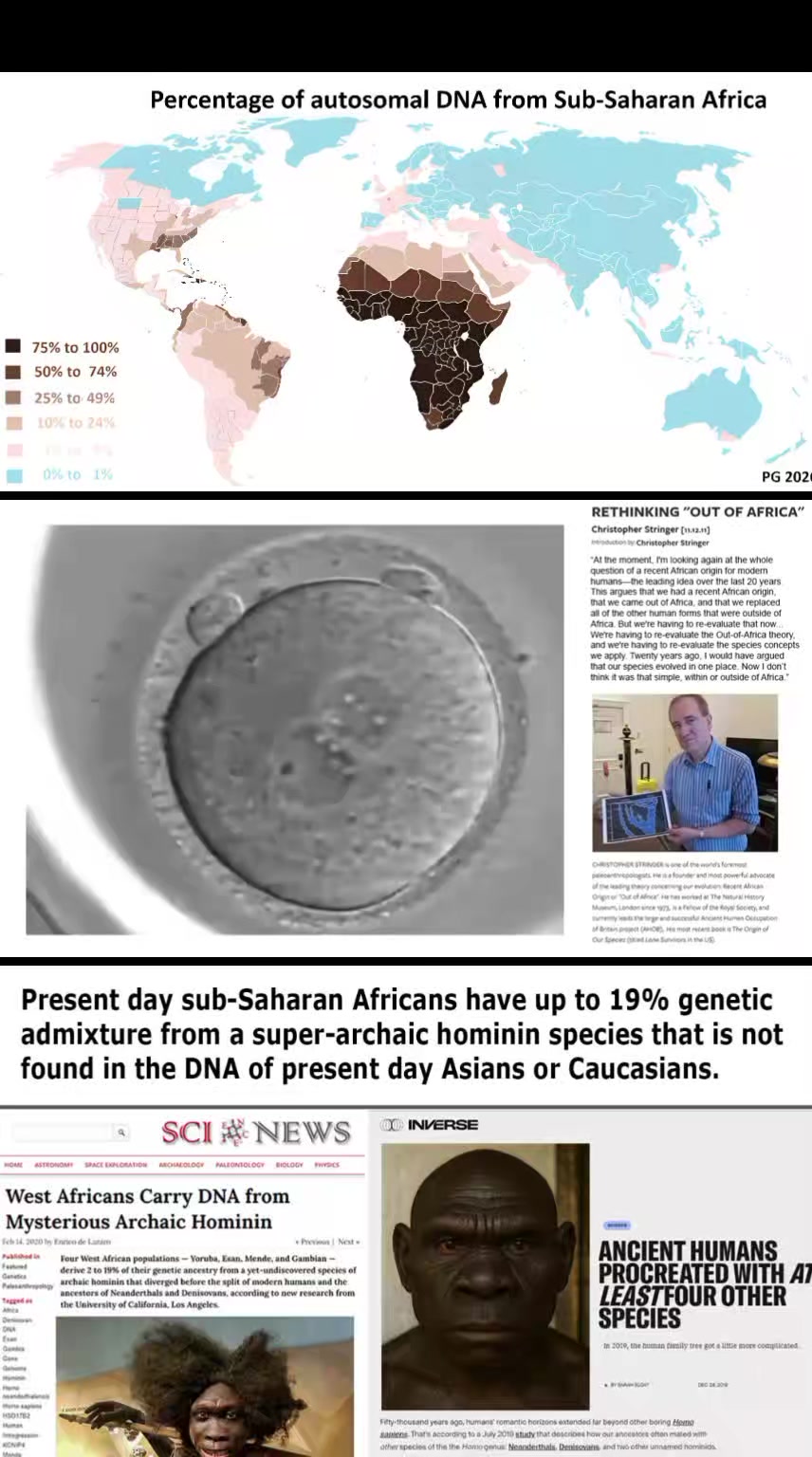 @RaceRealism
