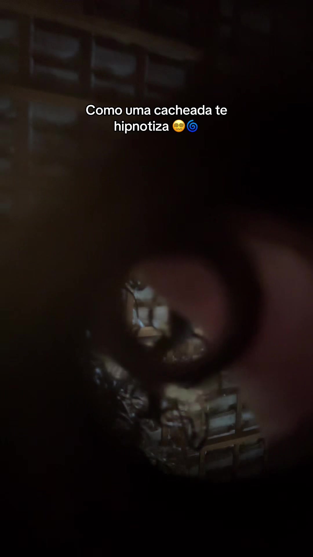 @Reis𓇼