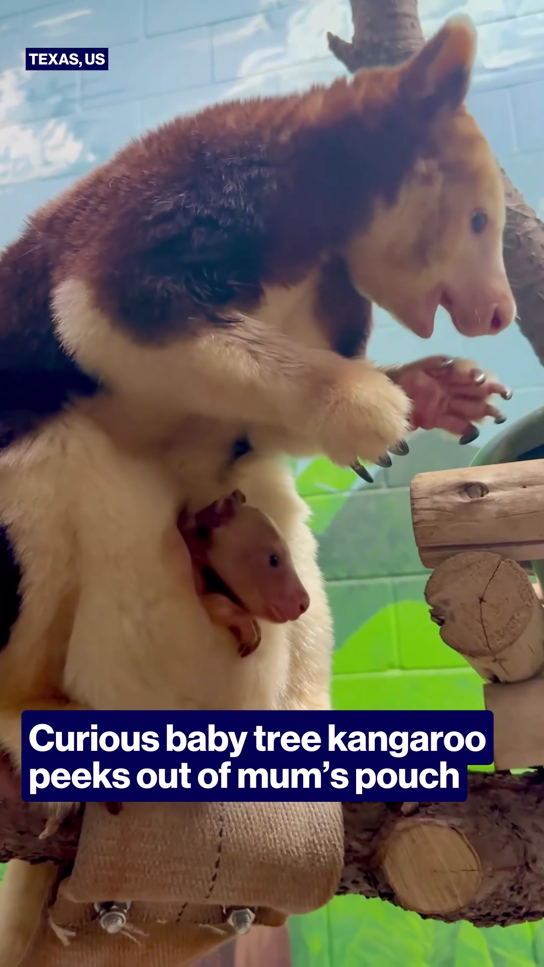 @TheProjectTV
