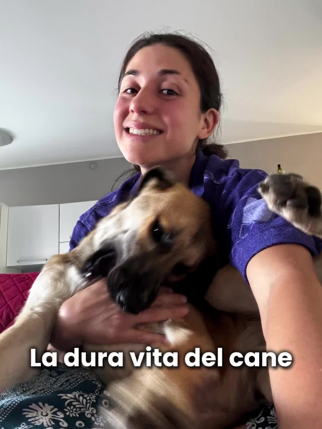 @Ambra Pazzani