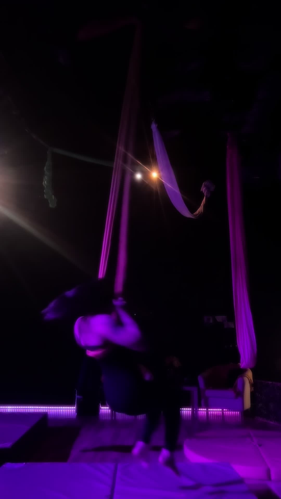@Kobra🌛🦇