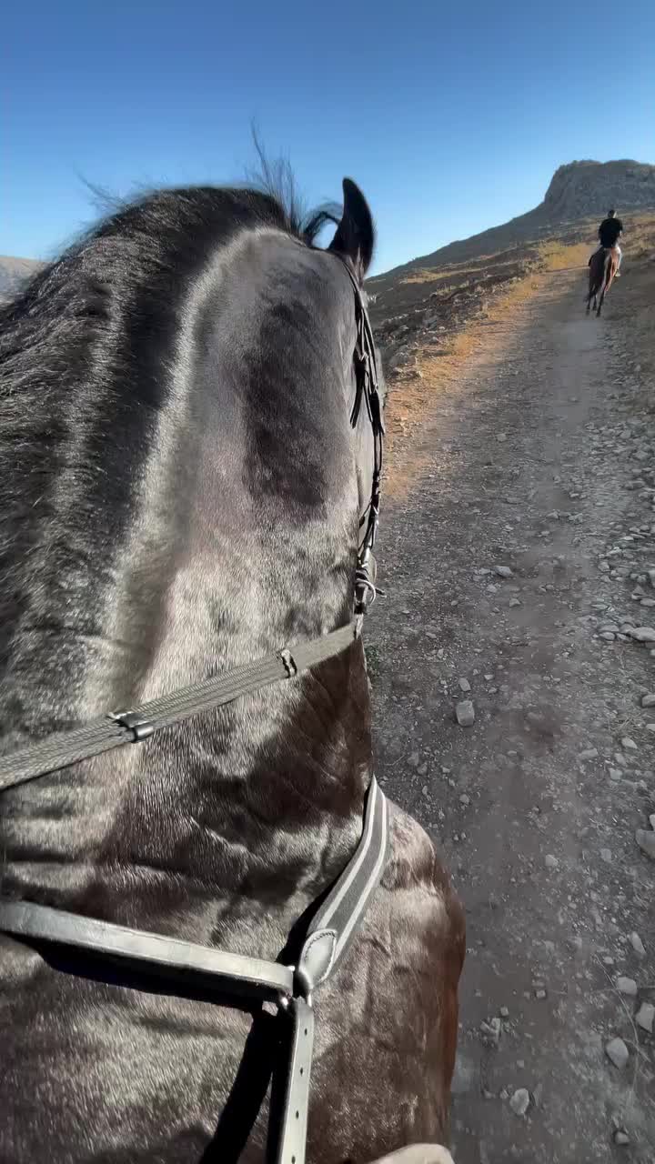 @ThunderGallops