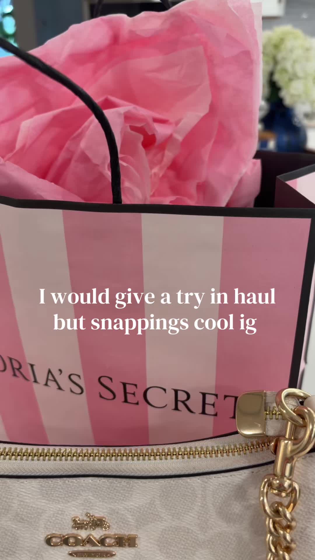 @🛍️ Addison Lucia 💓🐆