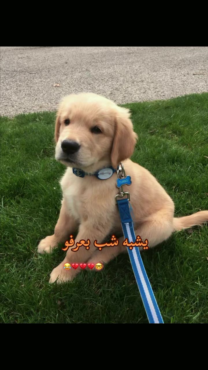 @طٰفِݪهِهِہۦ ݛݛااڪَﺰِهِهِہ¹⁶.