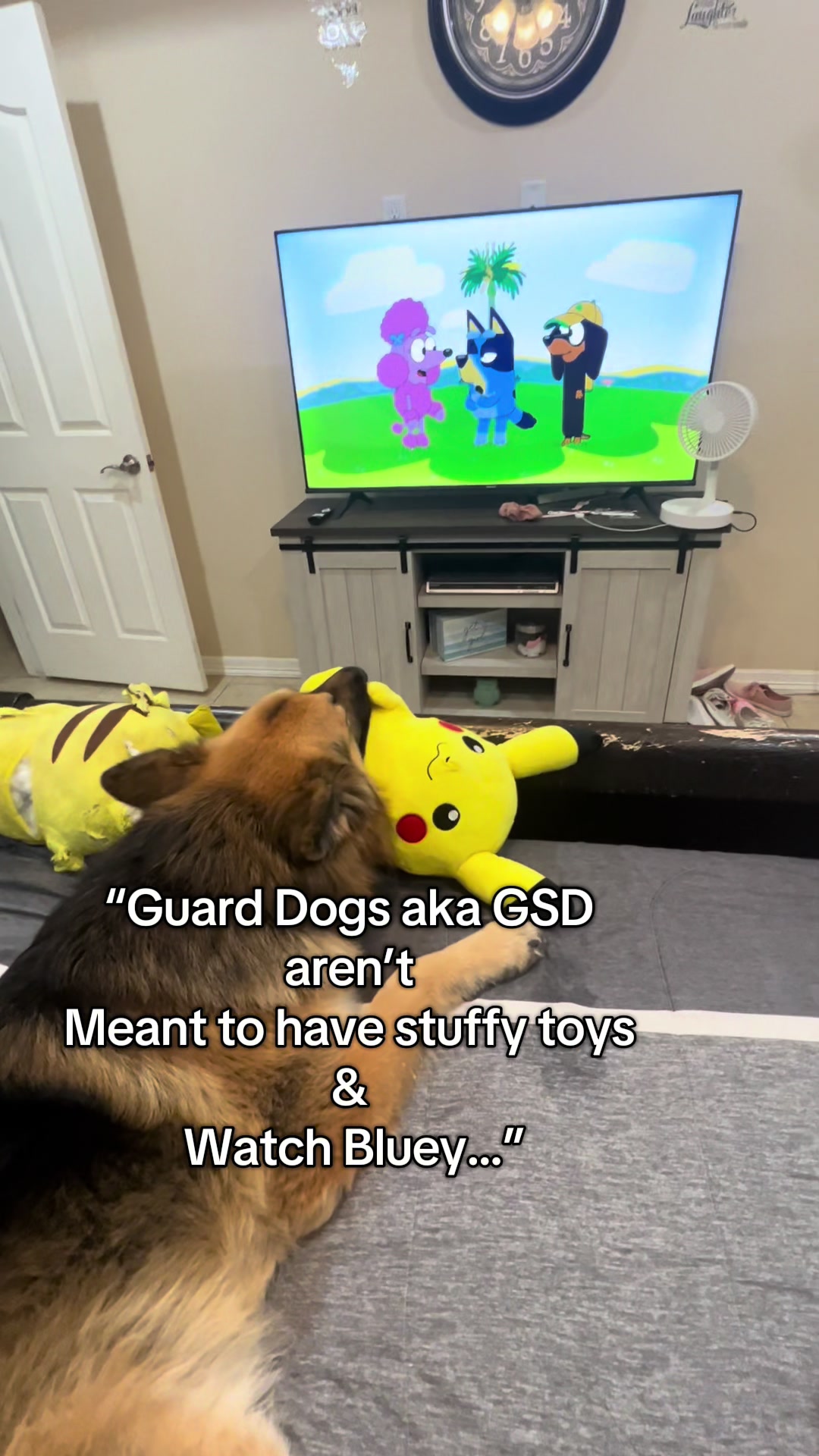@Gunner GSD🐶