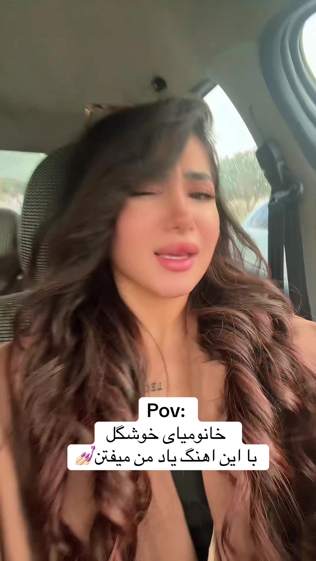 @farnushesmi